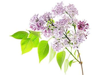 《夏天了！20世纪的暑假》确定7月28日登陆Switch发售